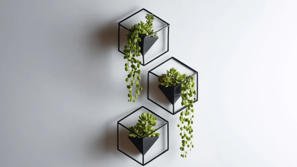 Hanging Wall Planters