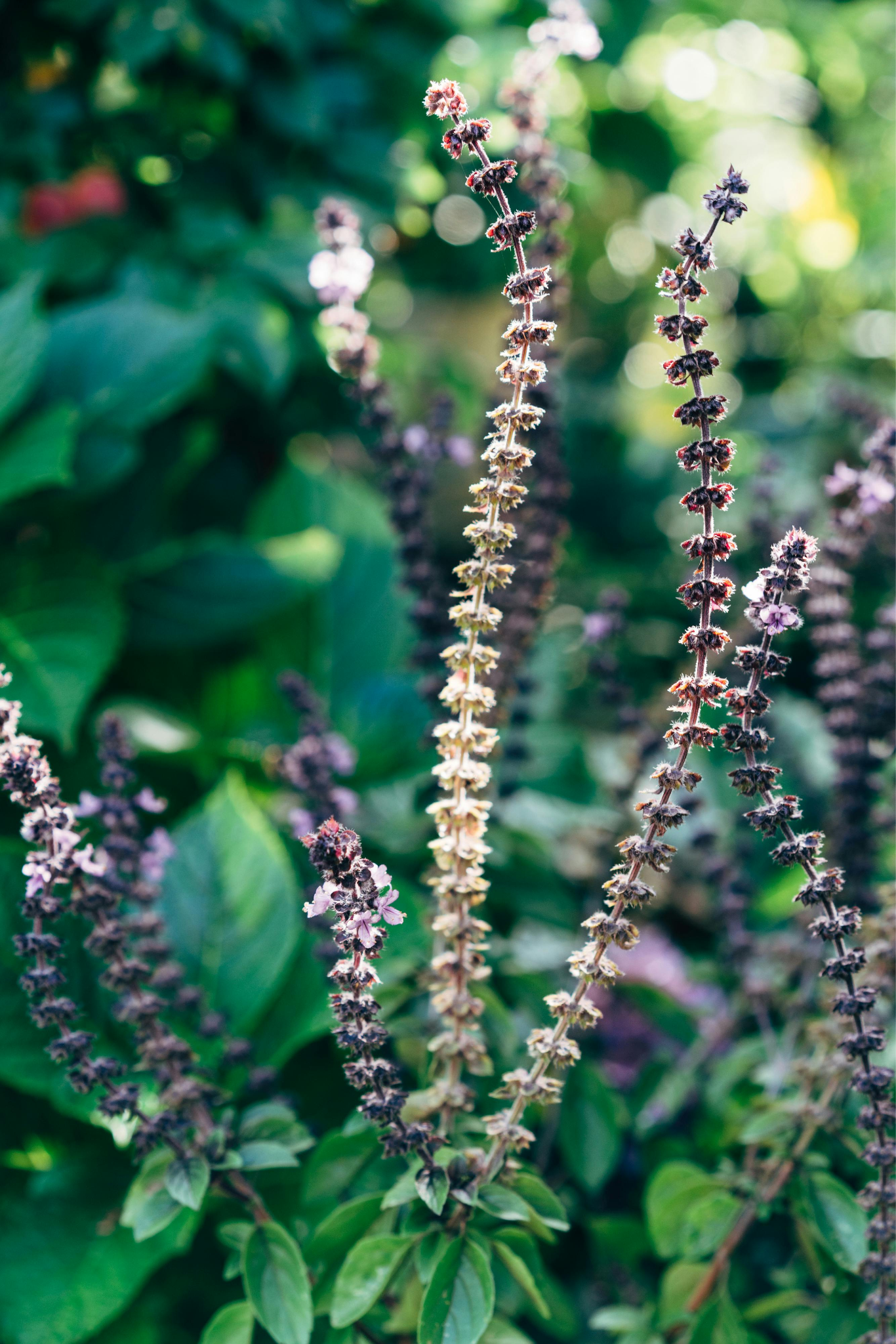 Summer Beauty Gifts Featuring Fragrance and Self-Care Sets