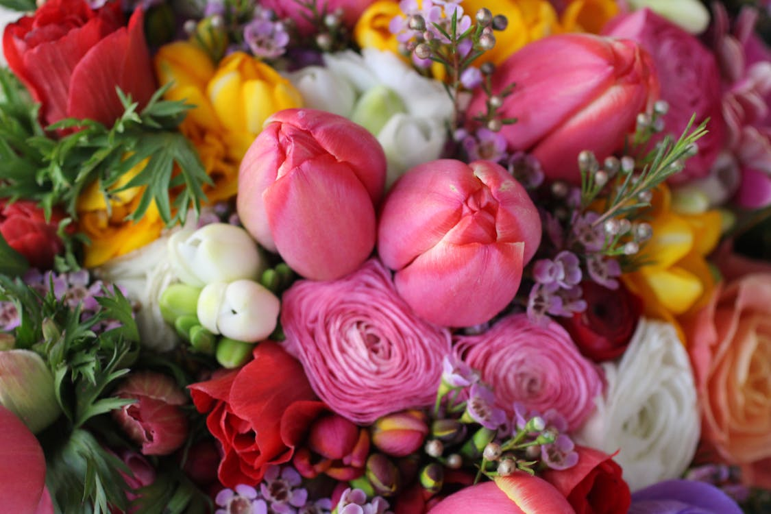 Spring Flowers: Seasonal Floral Arrangements for Every Season