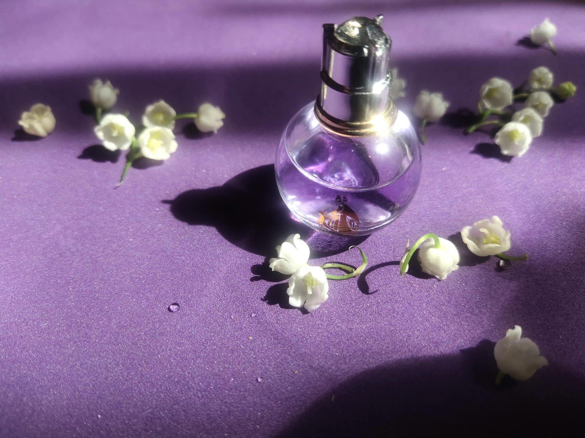 Top 5 Fragrance Trends to Watch in 2026: What's New in Perfume