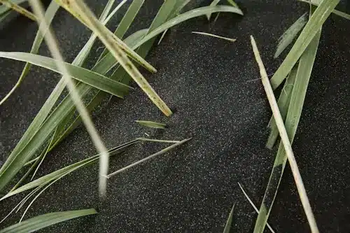Scattered green grass blades on textured dark surface in close-up view