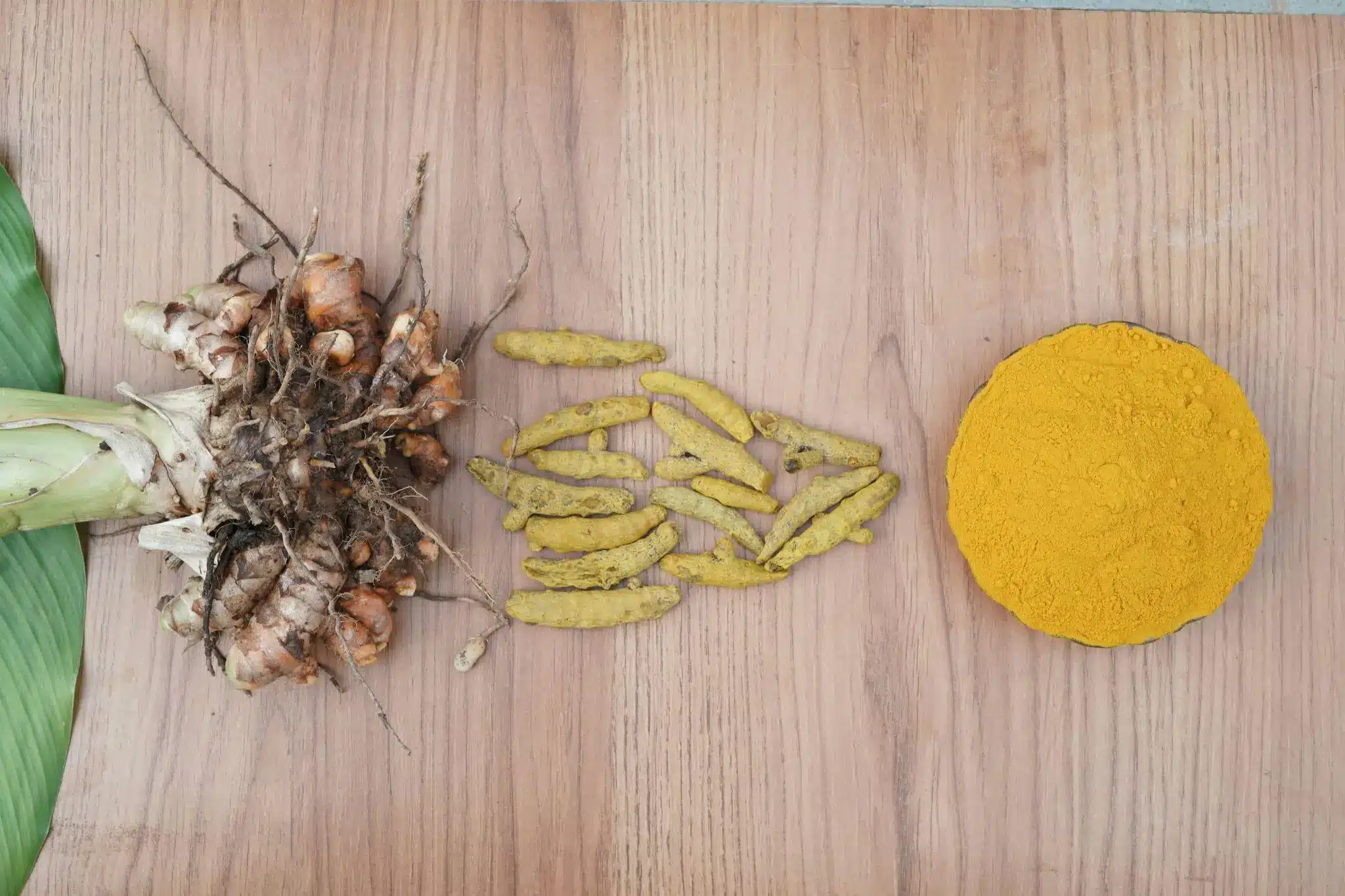 Turmeric plant root, dried turmeric pieces, and ground turmeric powder on wooden surface