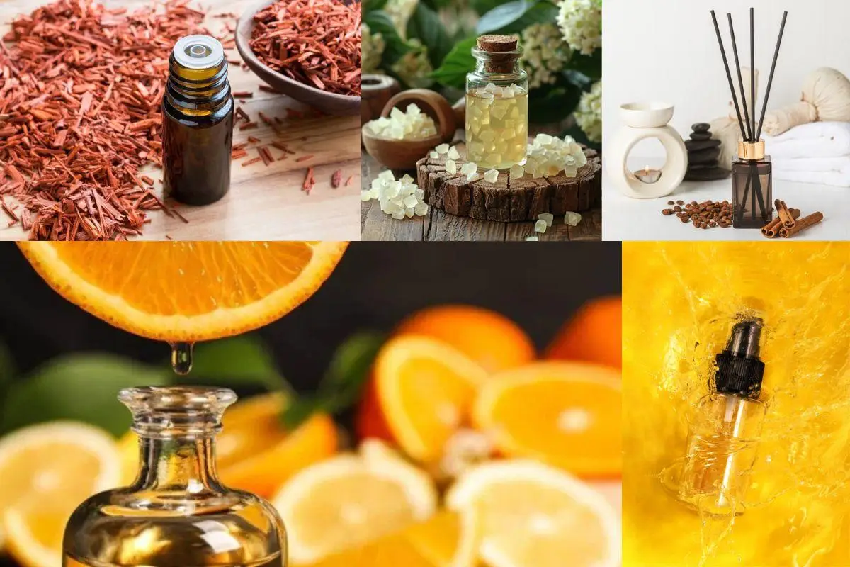 Glass bottles and aromatherapy ingredients including orange slices, sandalwood, and essential oils on rustic surfaces