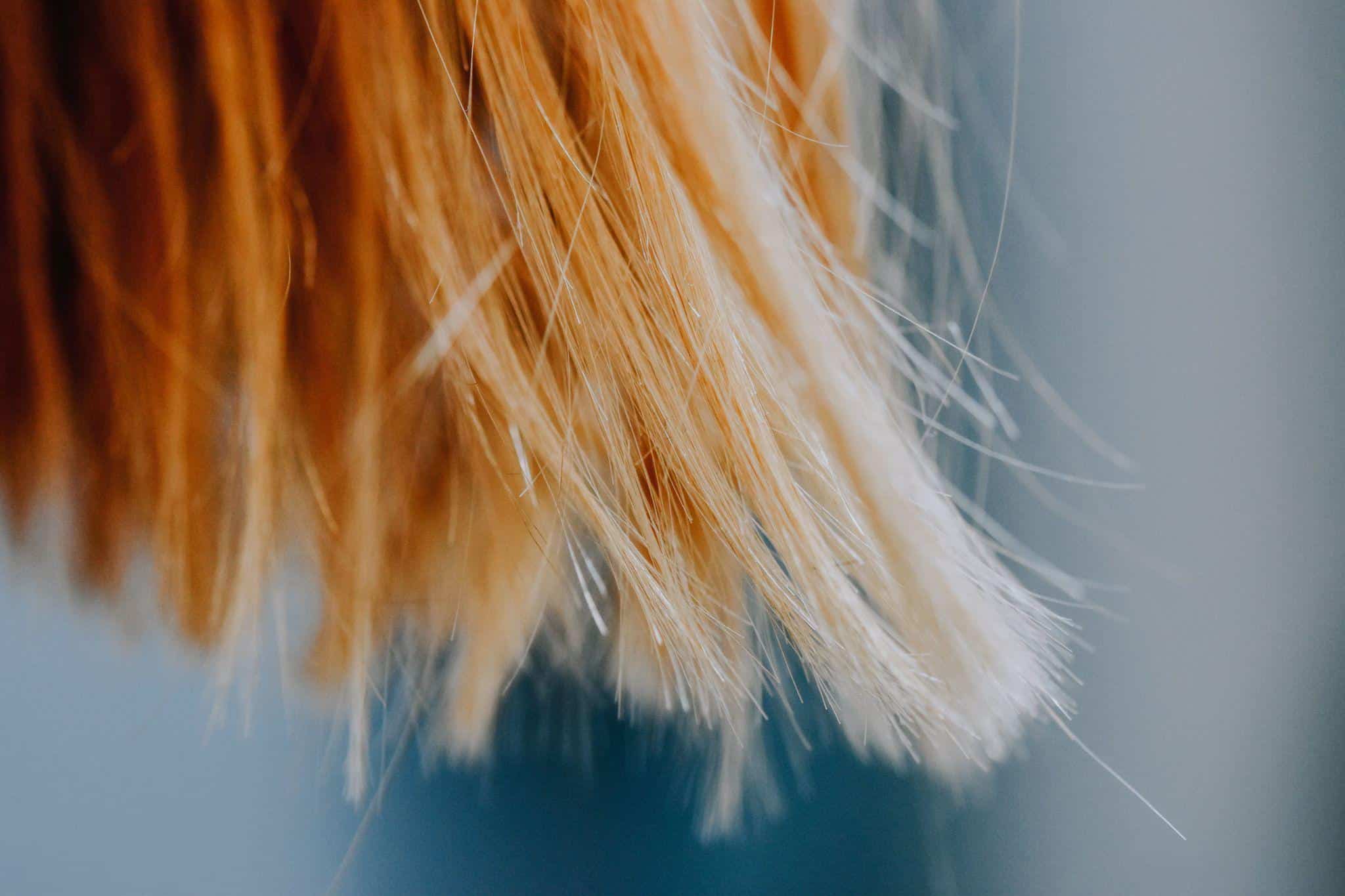 What Happens to Your Hair Cuticle Without a Heat Protectant