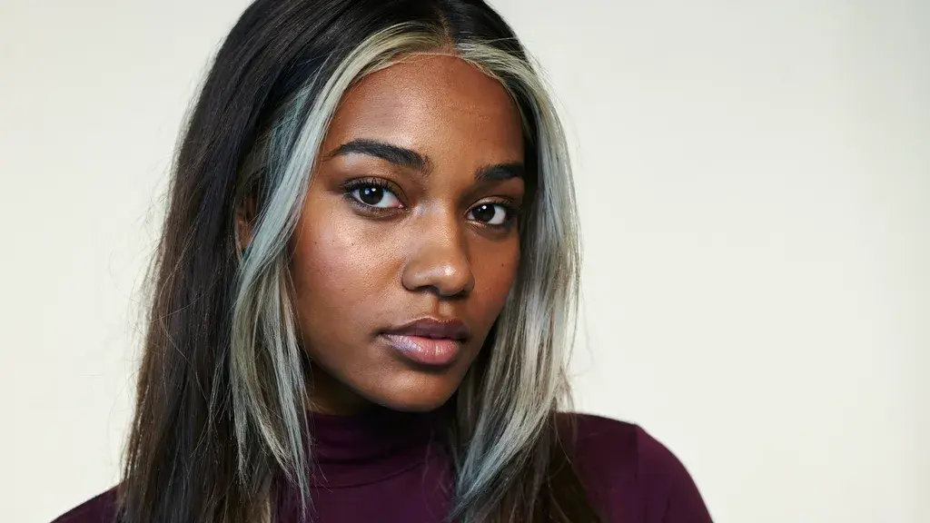 Black hair with bold silver blonde face framing highlights styled in a sleek straight layered cut with a modern contrasting look