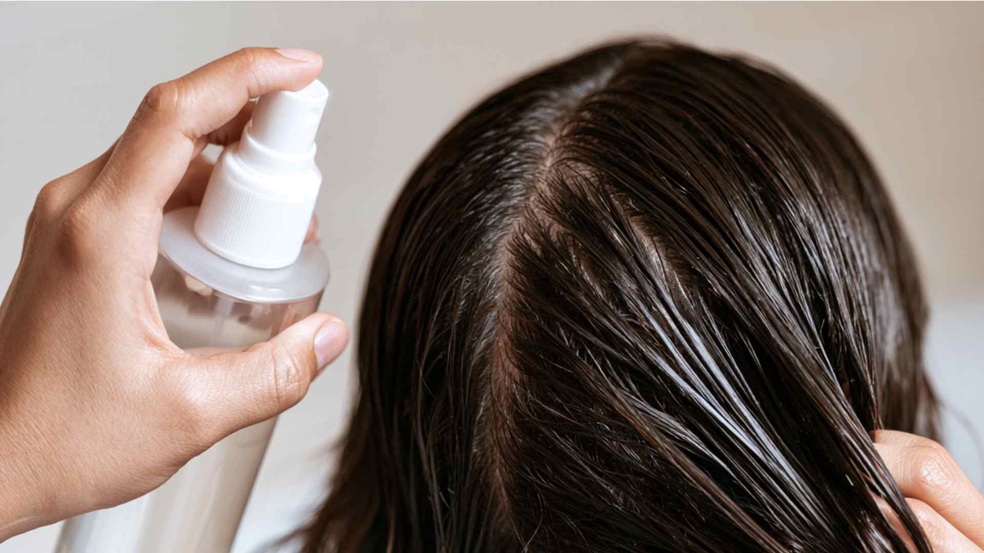 Applying rice water with a spray bottle from the roots through the lengths of the hair