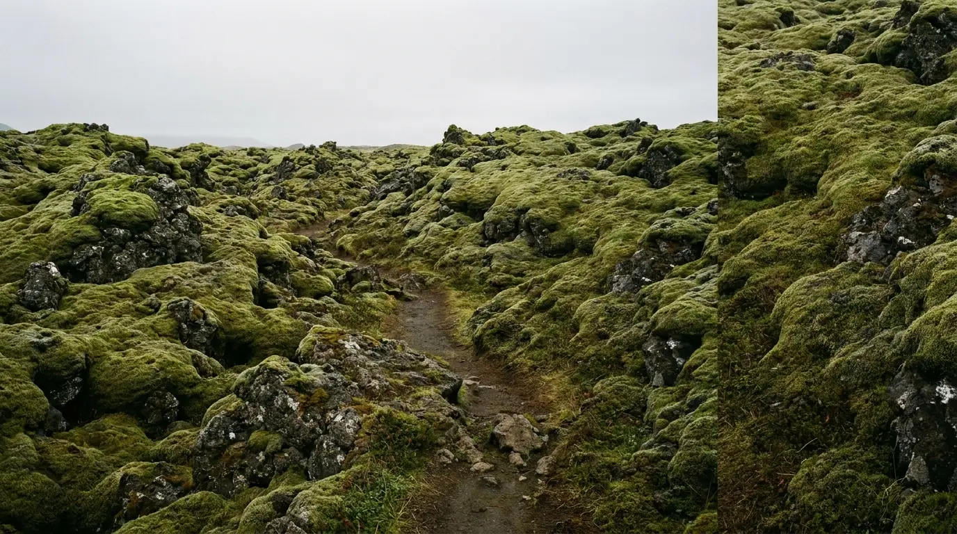 Narrow dirt path winding through moss-covered rocky landscape under overcast sky