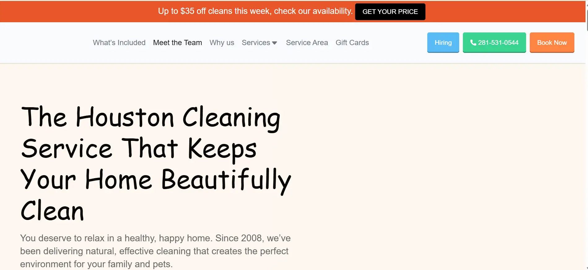 Website header showcasing cleaning service slogans and navigation menu in a clean layout